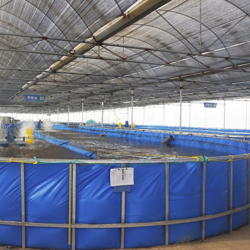 eWater RAS and Recirculating Aquaculture System details