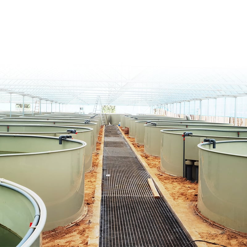 Aquaculture Indoor Farming System factory