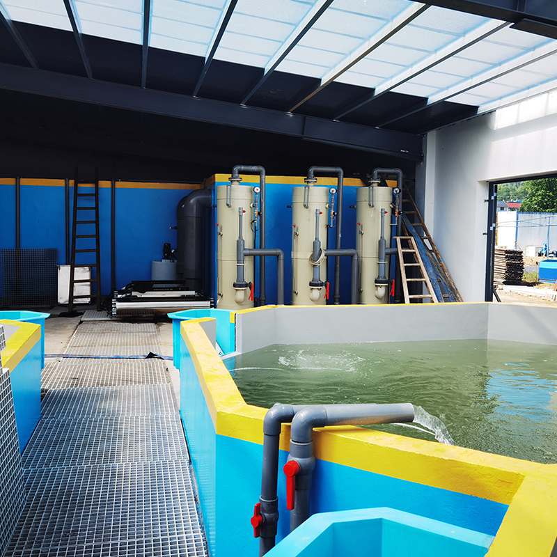 Indoor Fish Farming Equipment Recirculating Aquaculture System manufacture