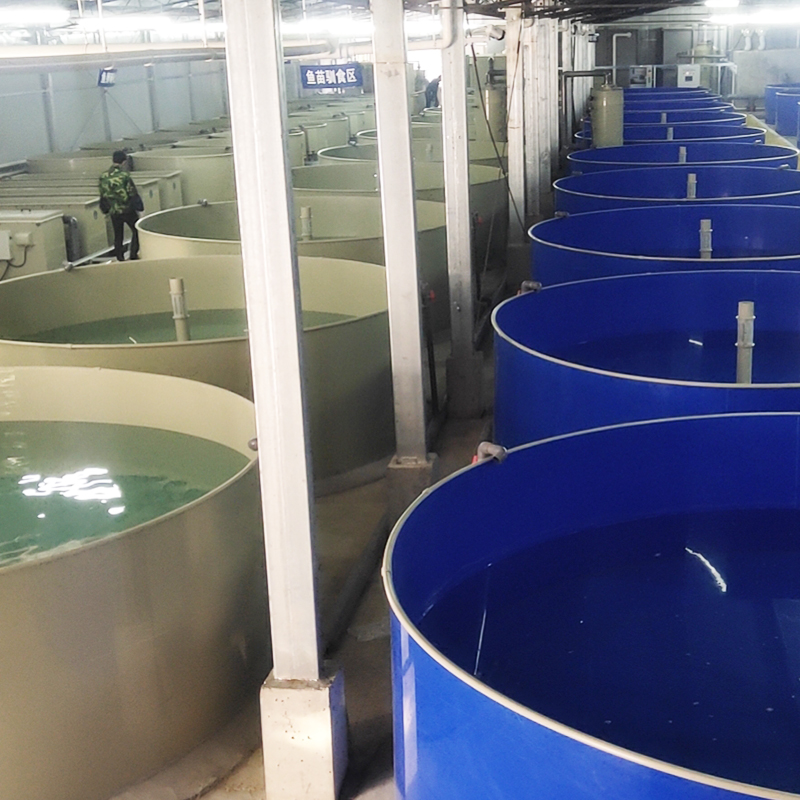 Seawater Fish Protein Skimmer factory