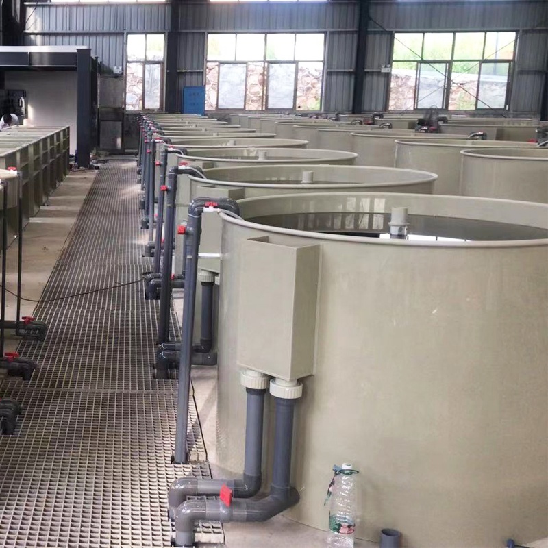Pisciculture Fish Farming Trout Incubator Shrimp System RAS supplier