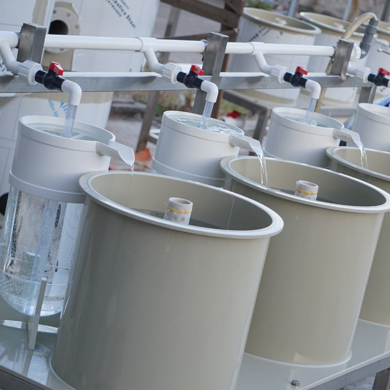 Farm Fish Egg Incubators factory