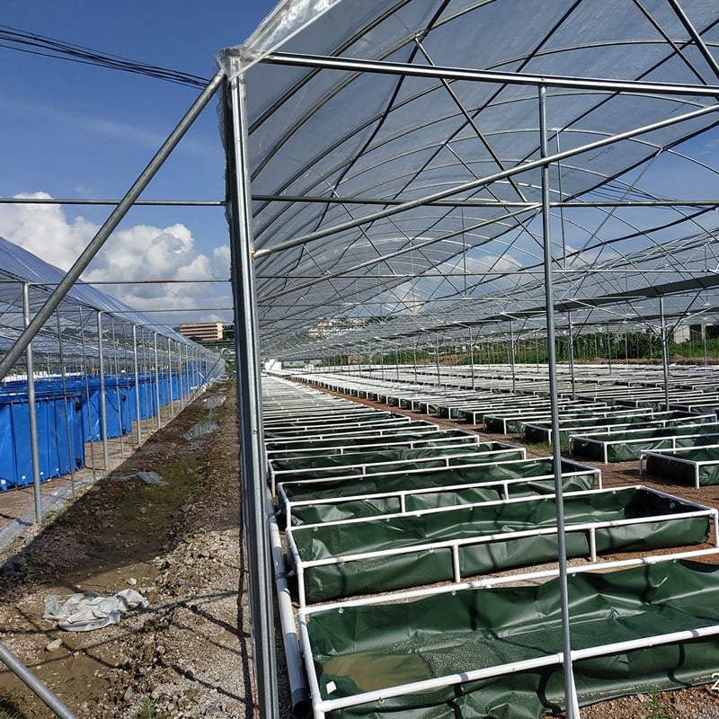 Commercial Aquaponic System and Fish Farming System manufacture