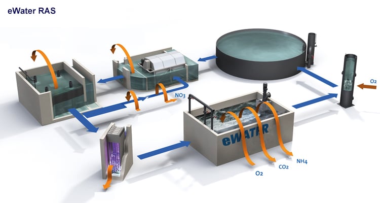 eWater Indoor Fish Farming Aquaculture System Design details