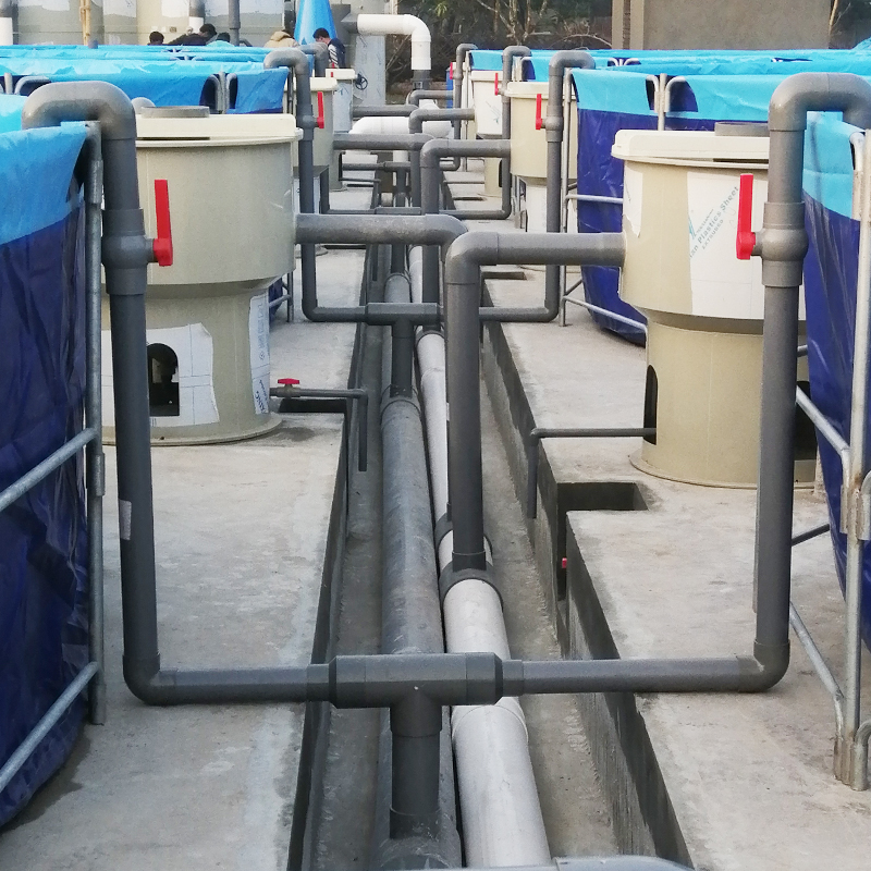 Intensive Recirculating Aquaculture System details