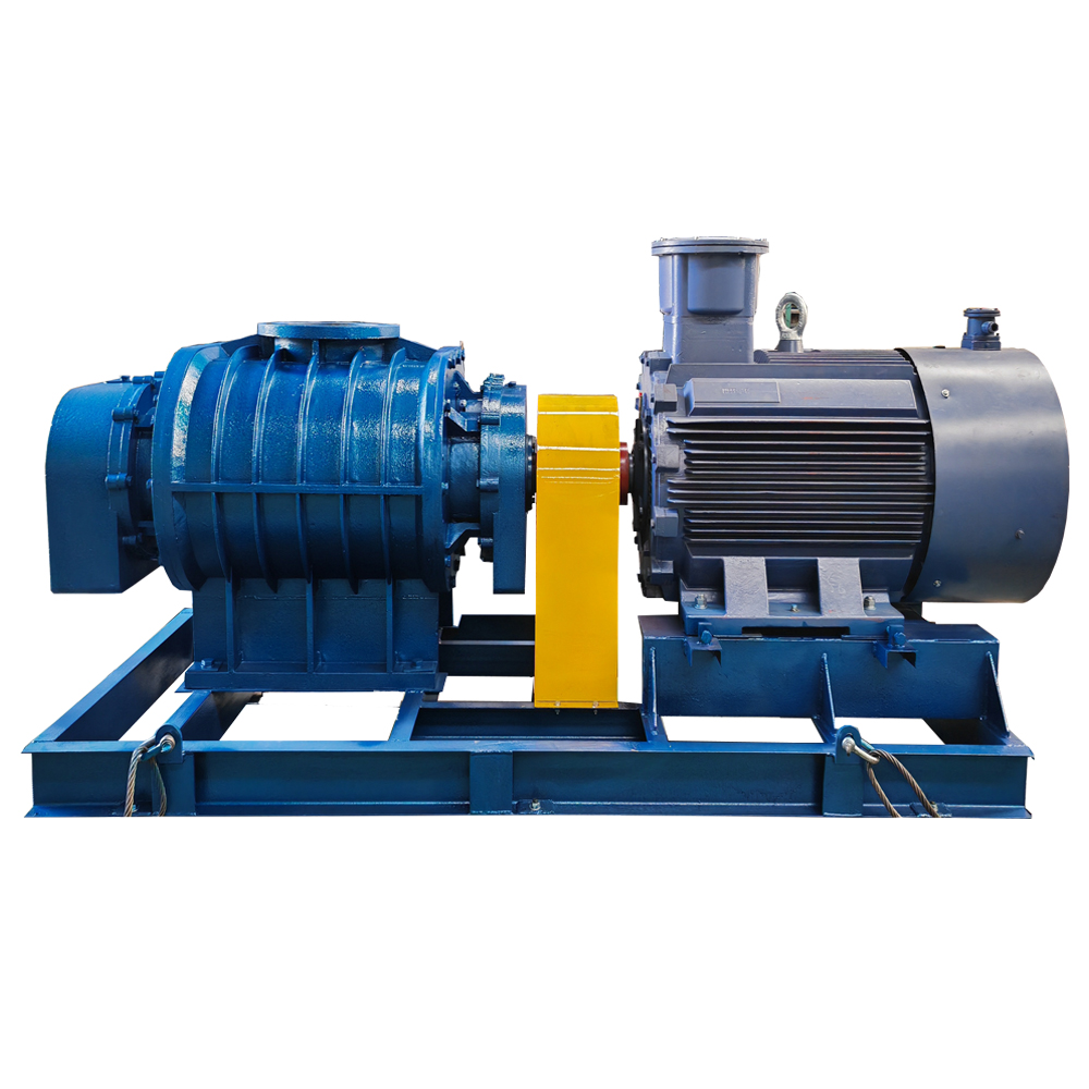 Low noise long service life time big volume high pressure sewage treatment roots air blower factory