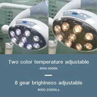 Dental Light Operation Lamp Dental 9 LED Oral Lamp For Dental Unit Chair Equipment Oral Care Tools manufacture