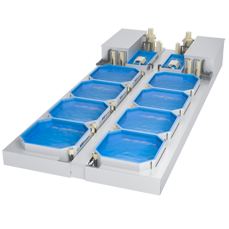 Pisciculture Fish Farming Trout Incubator Shrimp System RAS factory
