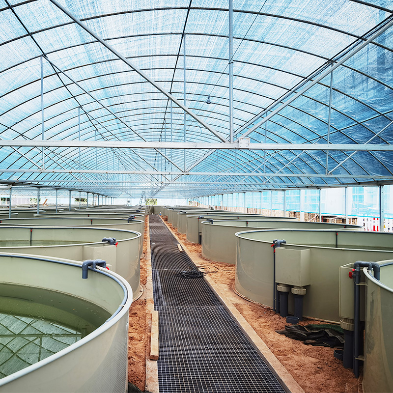 RAS System supplier