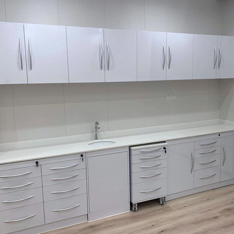 Customized medical furniture Dental clinic medical furniture wall mounted storage cabinet with soft-close doors details