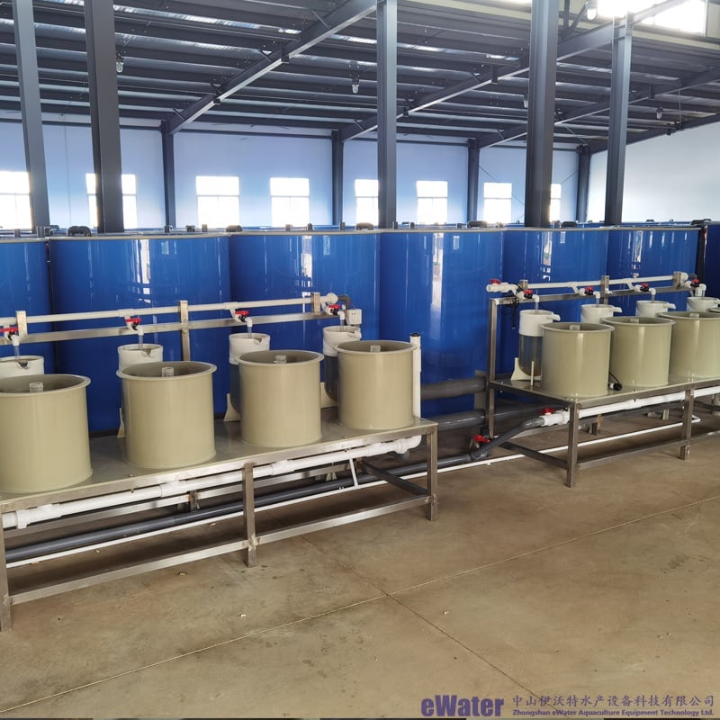 Farm Fish Egg Incubators factory