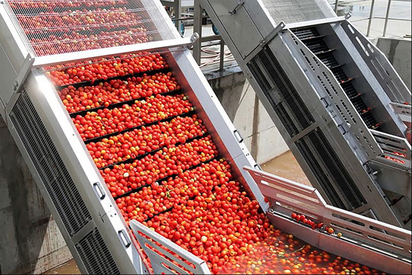 Food and Beverage Industry