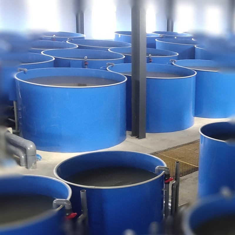 Indoor RAS Shrimp Farming Tanks/Indoor Fish Farming Tanks details