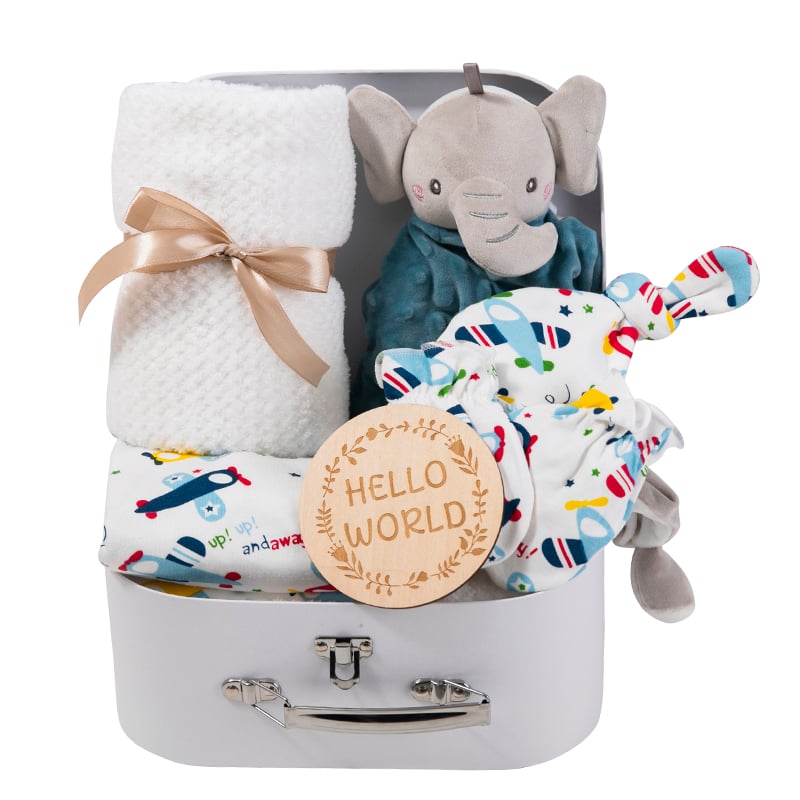 BSCI OEM Essentials Baby Gift Set for Newborn Baby /Gift Set with Baby Blanket Rattle bibs supplier