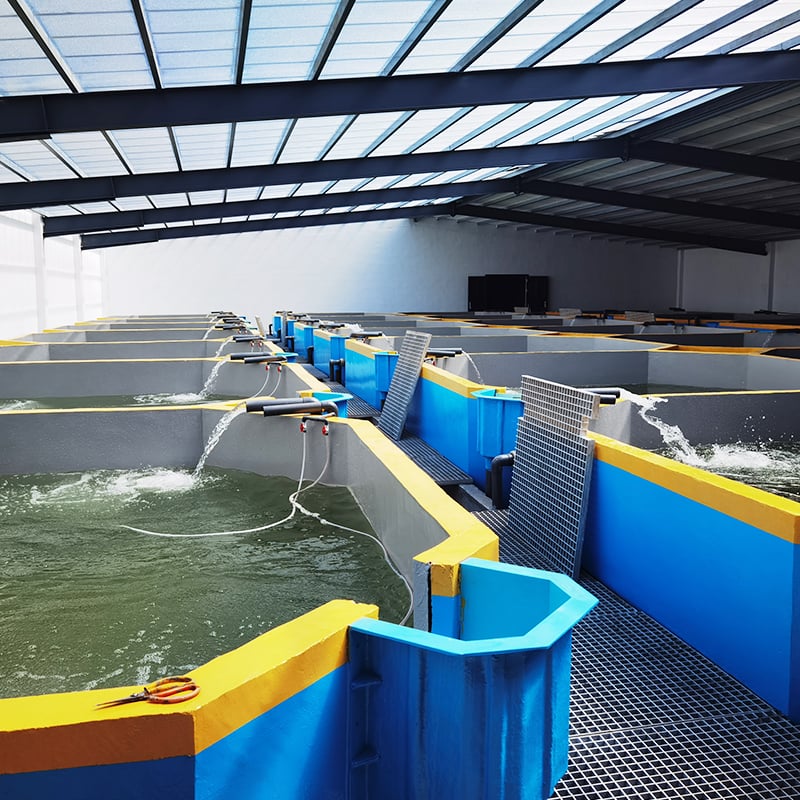 Indoor RAS Fish Tank  Aquaculture Equipment for Fish Farm details