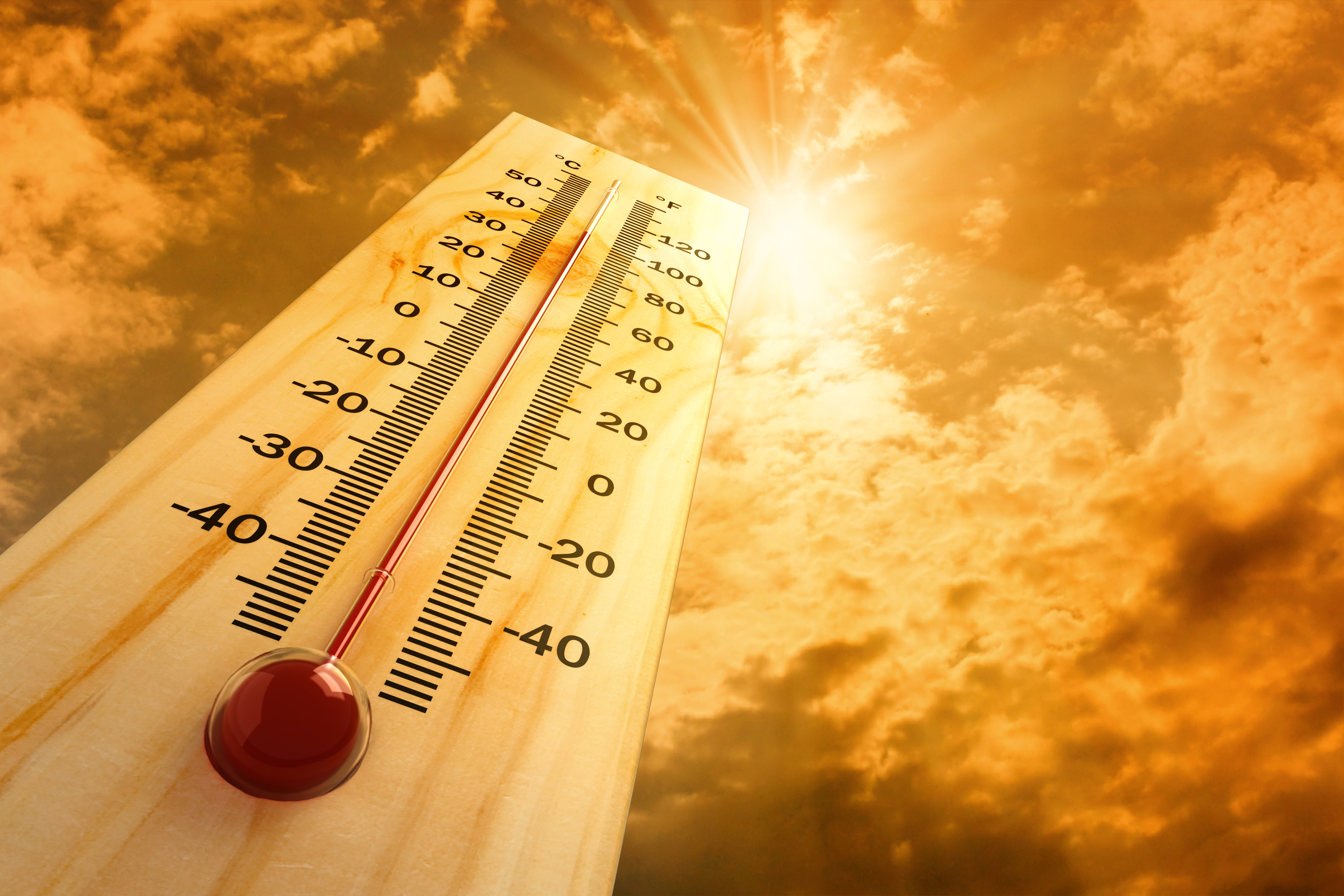 Heatwaves: how unusual is it to get high temperatures in June ...