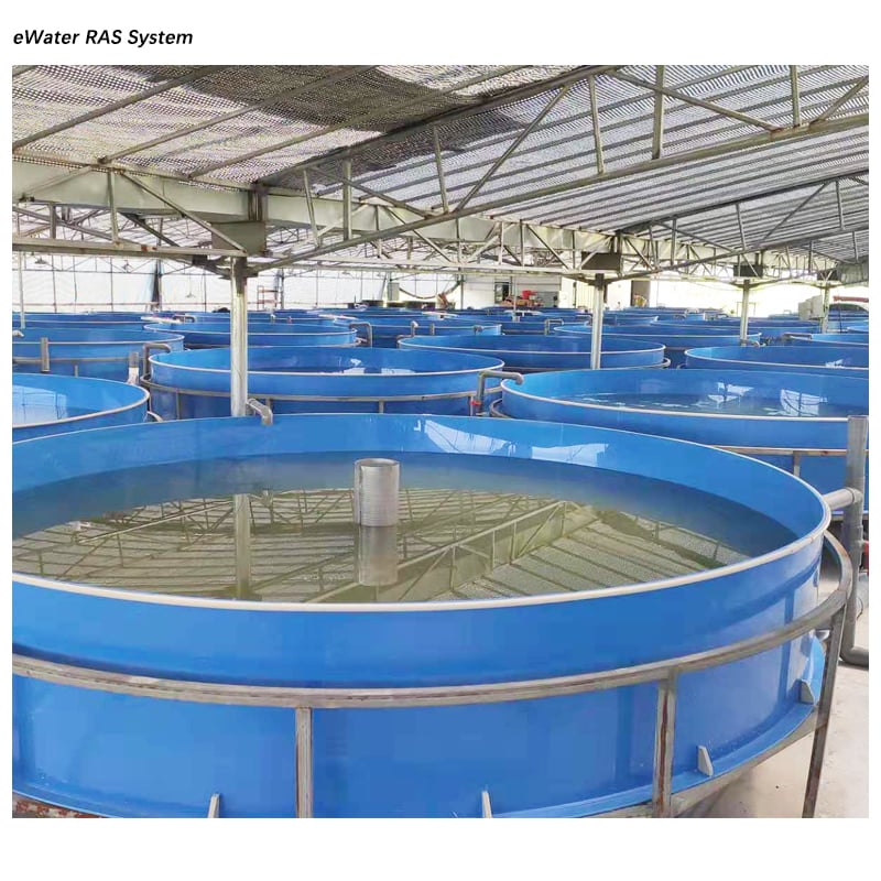 Drum Filter Pond Indoor Fish Farming Equipment RAS Aquaculture System factory