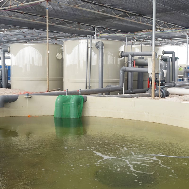 Aquaculture Indoor Farming System details