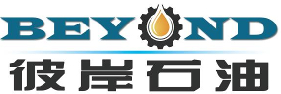 Shandong Beyond Petroleum Equipment Co.,Ltd.