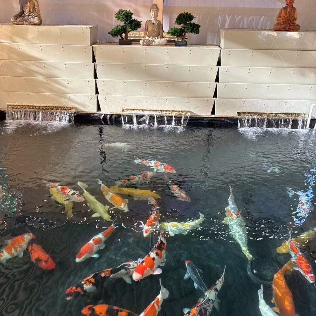 鯉の池用フィルター