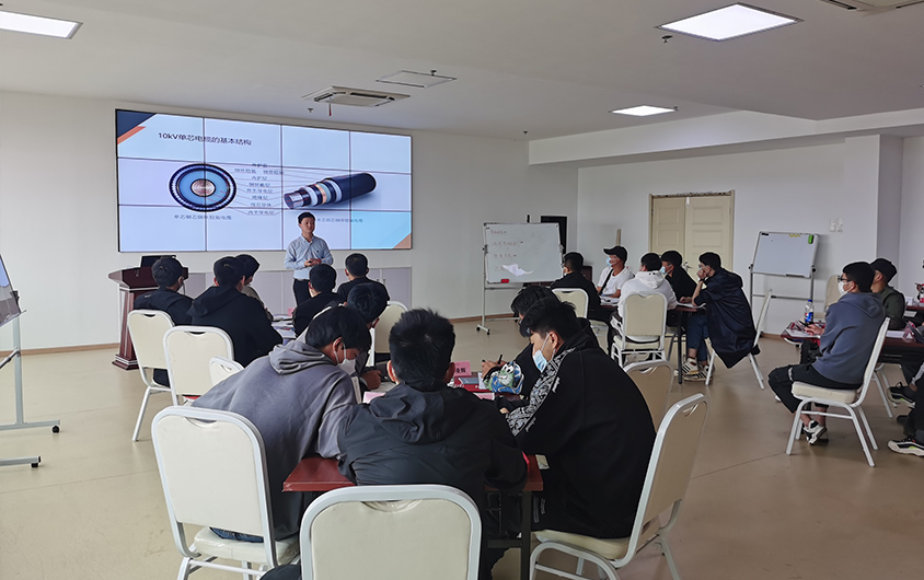 Hệ thống Đào tạo Chuyên nghiệp