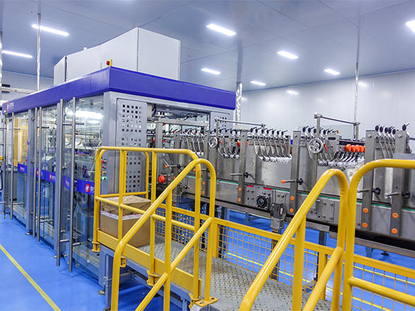Shrink Packing Machine 