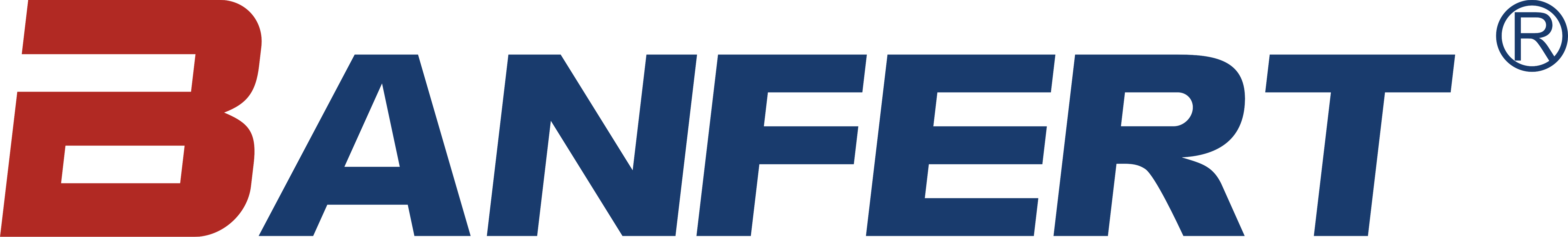 Banfert New Materials Co., Ltd.