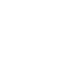 IP Protection