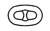Anchor Chain