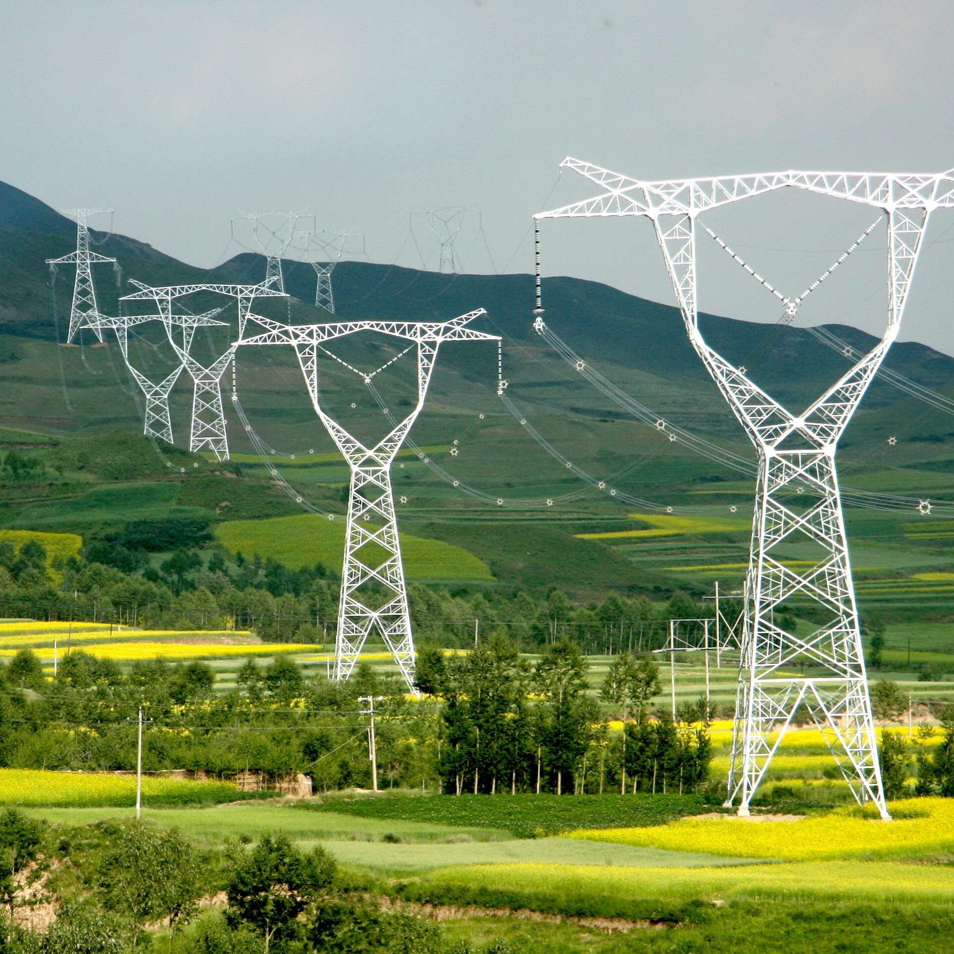 Power Grid