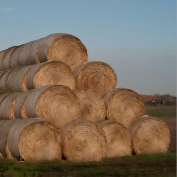 Agriculture