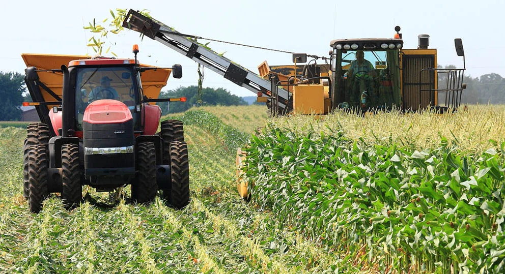 Sector agrícola