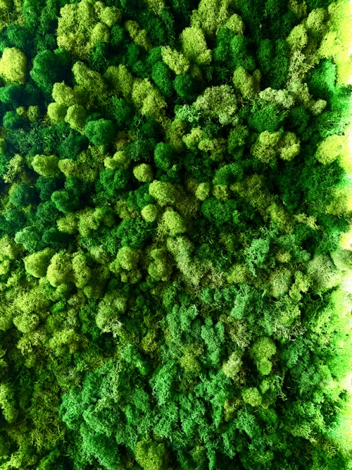 green consumption