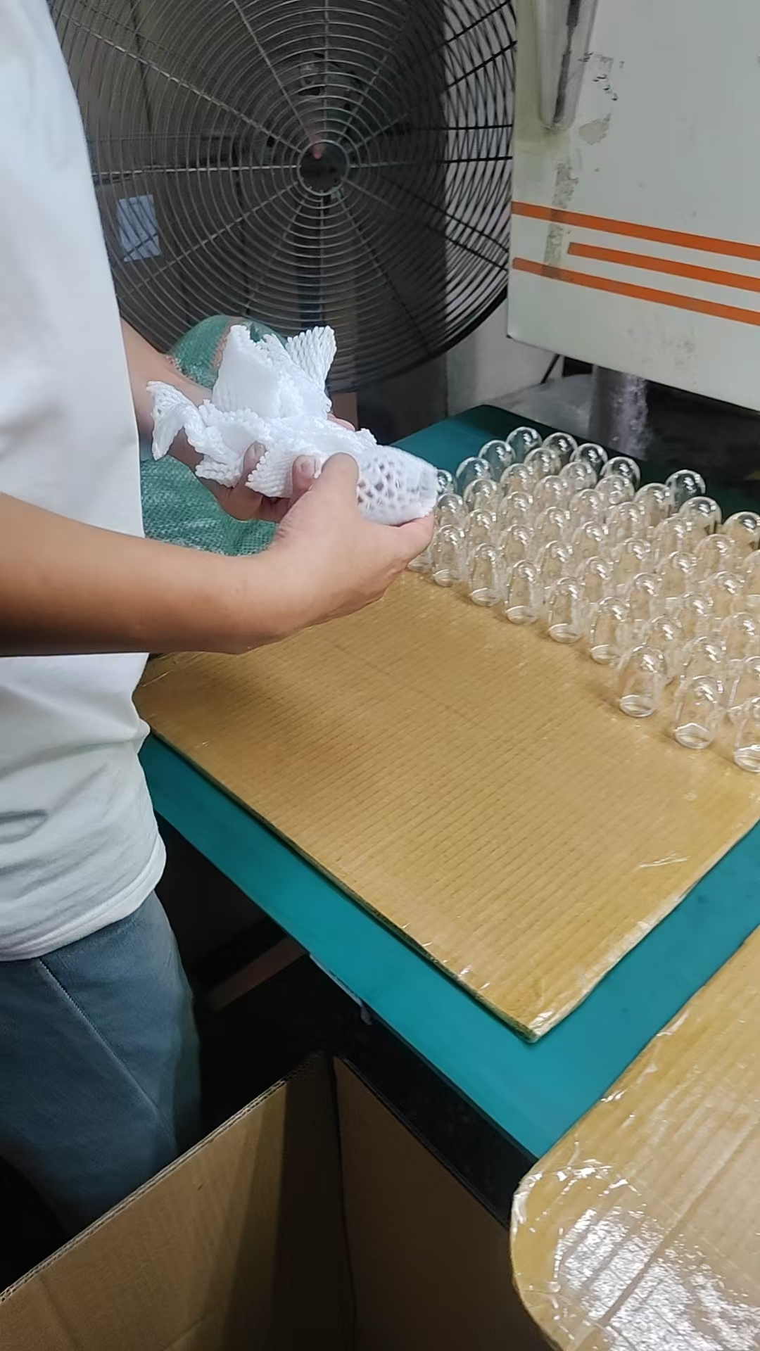 Quality Inspection 6